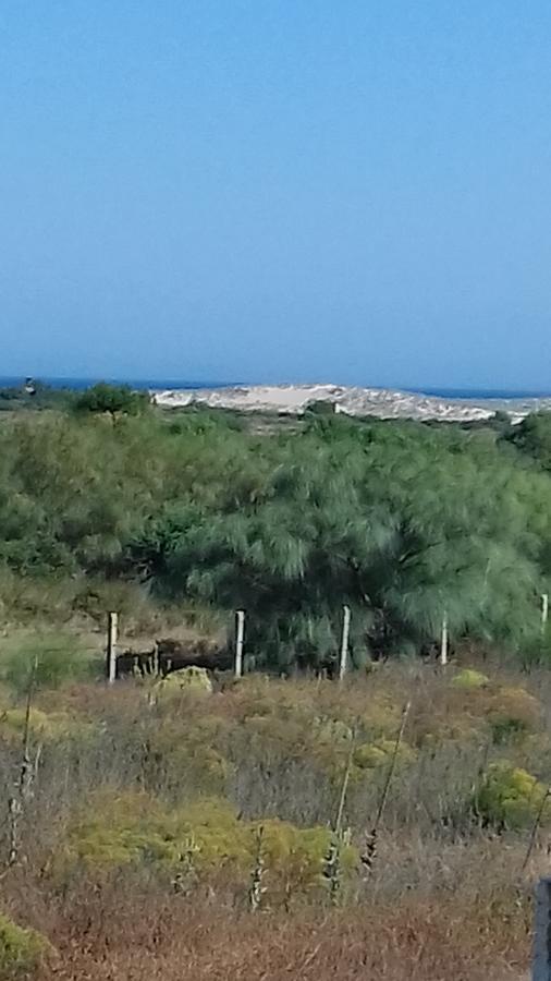La Aceitera De Trafalgar Μπαρβάτε Εξωτερικό φωτογραφία